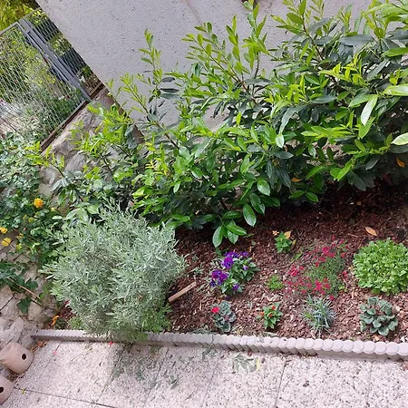 And Stone House Apartament